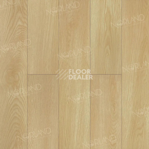 Ламинат Norland Elegant Strong 12мм Дуб Тасмания LF302-04 фото 1 | FLOORDEALER