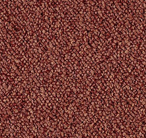 Ковролин Lano Corindo Coi 0133 фото 1 | FLOORDEALER