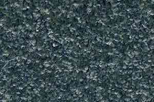 Ковролин AW Gaia Meridia 77 фото  | FLOORDEALER