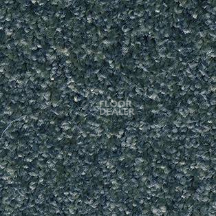 Ковролин AW Gaia Meridia 77 фото 1 | FLOORDEALER