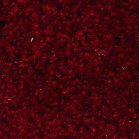 Ковролин Serene Beaulieu of America 27 фото 1 | FLOORDEALER