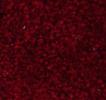 Ковролин Serene Beaulieu of America 27 фото 1 | FLOORDEALER