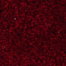 Serene Beaulieu of America 27 фото 1 | FLOORDEALER