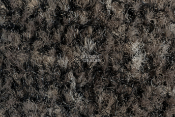 Forbo Coral Brush 5714 Shark Grey фото 2 | FLOORDEALER