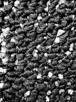 Bonkeel Stone Graphit фото 3 | FLOORDEALER