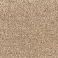 Ковролин Big Fancy 335 фото 1 | FLOORDEALER