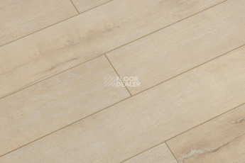 Ламинат Biela Cbm Silence 10мм 717-10 Ванильный Дуб Рустик фото 1 | FLOORDEALER