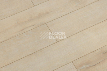 Ламинат Biela Cbm Silence 10мм 717-10 Ванильный Дуб Рустик фото 1 | FLOORDEALER