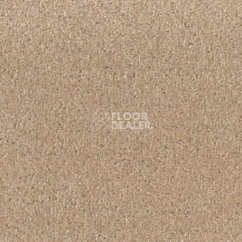 Ковролин Big Fancy 335 фото 1 | FLOORDEALER