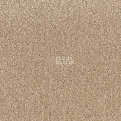 Ковролин Big Fancy 335 фото 1 | FLOORDEALER