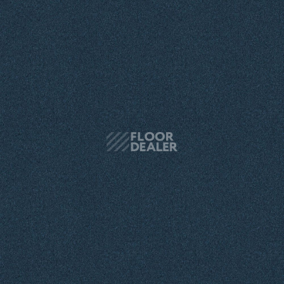 Ковровая плитка Forbo Tessera basis pro 4352 Navy фото 1 | FLOORDEALER
