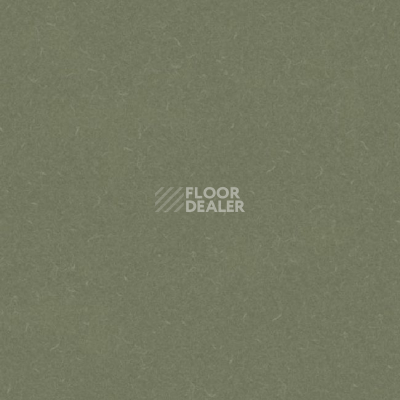 Линолеум Grabo Silver Knight Acoustic 7 455_864-7801 фото 1 | FLOORDEALER