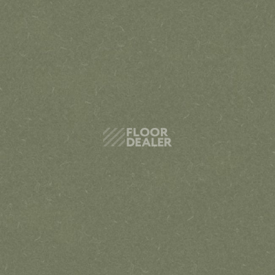 Линолеум Grabo Silver Knight Acoustic 7 455_864-7801 фото 1 | FLOORDEALER