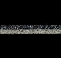 Flotex Colour Penang p 982031 Penang Ash фото 4 | FLOORDEALER