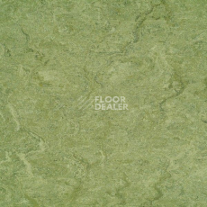 Линолеум Gerflor Marmorette PUR 125-100 фото 1 | FLOORDEALER