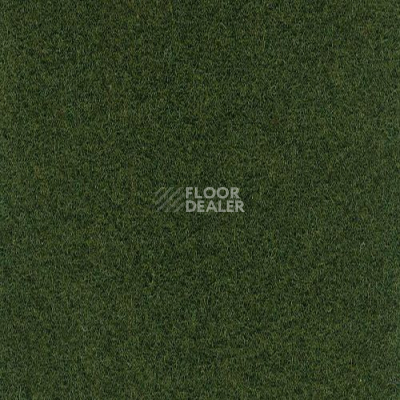 Ковролин FINETT Sport 6419 фото 1 | FLOORDEALER