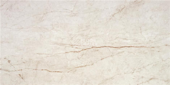 Керамогранит Rain Forest 59 x 119 Rain Forest White Pulido 59X119 Rect фото 1 | FLOORDEALER