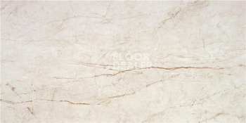 Керамогранит Rain Forest 59 x 119 Rain Forest White Pulido 59X119 Rect фото 1 | FLOORDEALER