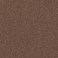 Ковролин Balsan Les Greens Confort+ 768 фото 1 | FLOORDEALER