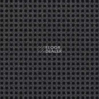 Ковролин Flotex Dakota 345031 фото 1 | FLOORDEALER