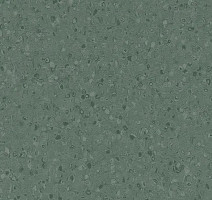 Линолеум Forbo Sphera Element 50078 dark kelp фото 1 | FLOORDEALER