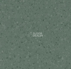 Линолеум Forbo Sphera Element 50078 dark kelp фото 1 | FLOORDEALER
