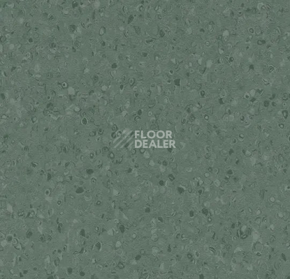 Линолеум Forbo Sphera Element 50078 dark kelp фото 1 | FLOORDEALER