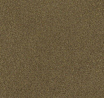 Interface Polichrome 7570 Garam Masala фото 1 | FLOORDEALER