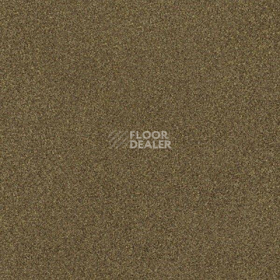 Ковровая плитка Interface Polichrome 7570 Garam Masala фото 1 | FLOORDEALER