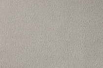 Ковролин Vorwerk Passion 1000/Modena Vorwerk 5n50 фото 1 | FLOORDEALER