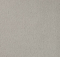 Ковролин Vorwerk Passion 1000/Modena Vorwerk 5n50 фото 1 | FLOORDEALER