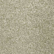 Ковролин AW Bellisima 90 фото 1 | FLOORDEALER