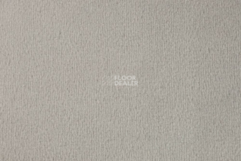 Ковролин Vorwerk Passion 1000/Modena Vorwerk 5n50 фото 1 | FLOORDEALER