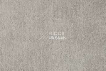 Ковролин Vorwerk Passion 1000/Modena Vorwerk 5n50 фото 1 | FLOORDEALER