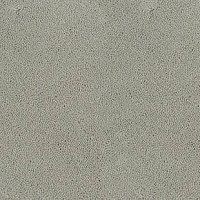 Desso Asteranne 1101 фото 1 | FLOORDEALER