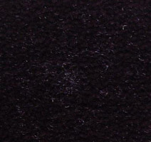 Ковролин Serene Beaulieu of America 07 фото 1 | FLOORDEALER