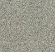 Ковролин Desso Asteranne 1101 фото 1 | FLOORDEALER