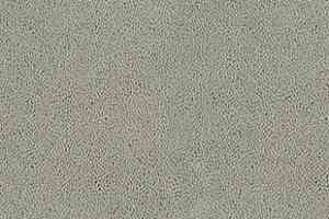 Ковролин Desso Asteranne 1101 фото  | FLOORDEALER