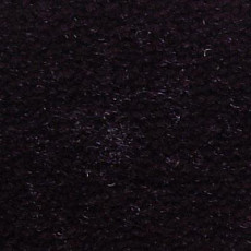 Ковролин Serene Beaulieu of America 07 фото 1 | FLOORDEALER