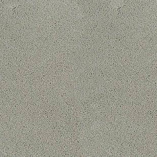 Desso Asteranne 1101 фото 1 | FLOORDEALER