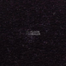 Ковролин Serene Beaulieu of America 07 фото 1 | FLOORDEALER