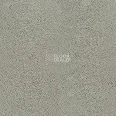 Ковролин Desso Asteranne 1101 фото 1 | FLOORDEALER