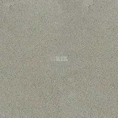Desso Asteranne 1101 фото 1 | FLOORDEALER