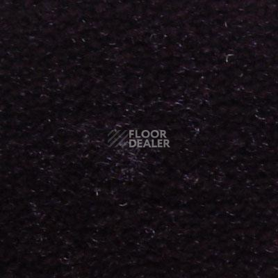 Ковролин Serene Beaulieu of America 07 фото 1 | FLOORDEALER