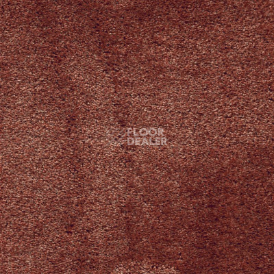 Ковролин AW Masquerade Fedone 84 фото 1 | FLOORDEALER