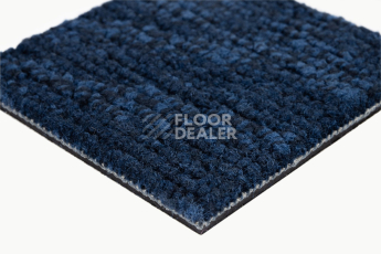 IVC Animate 543 фото 7 | FLOORDEALER