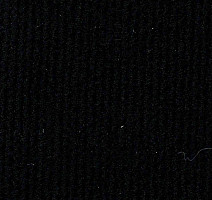 Ковролин ФлорТ Экспо 01019 Черный фото 1 | FLOORDEALER