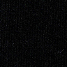 Ковролин ФлорТ Экспо 01019 Черный фото 1 | FLOORDEALER