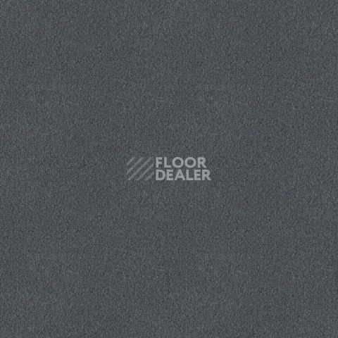 Ковровая плитка Forbo Tessera basis pro 4208 Dusk фото 1 | FLOORDEALER