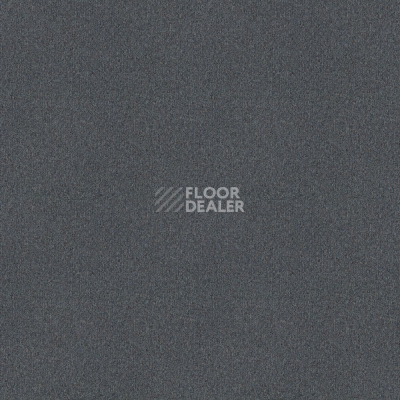 Ковровая плитка Tessera basis pro 4208 Dusk фото 1 | FLOORDEALER